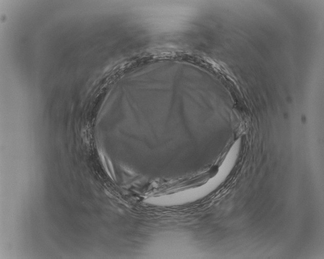 X0000075821445200610151443