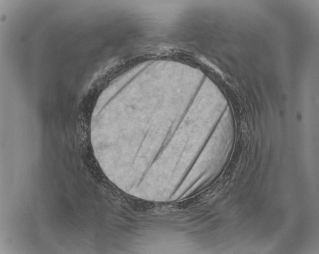 X0000075821447200610151443