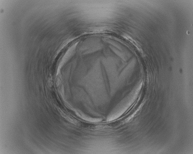X0000075821449200610151443
