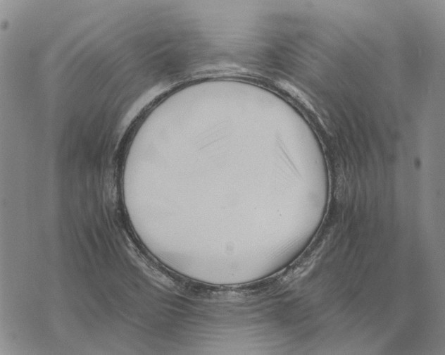X0000075821458200610151443
