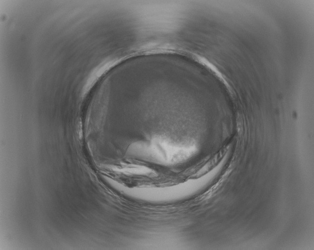 X0000075821461200610151443