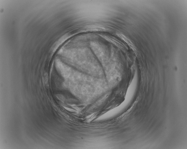 X0000075821465200610151443