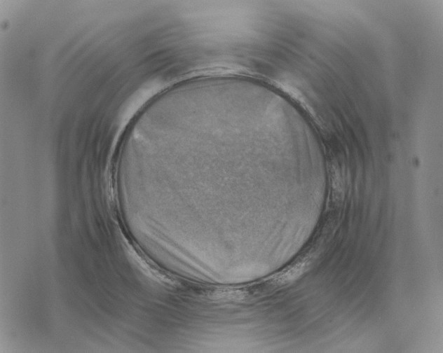 X0000075821466200610151443