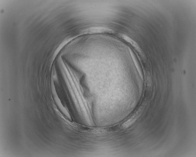 X0000075821473200610151442