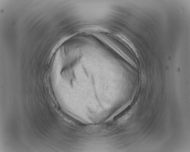 X0000075821481200610151442