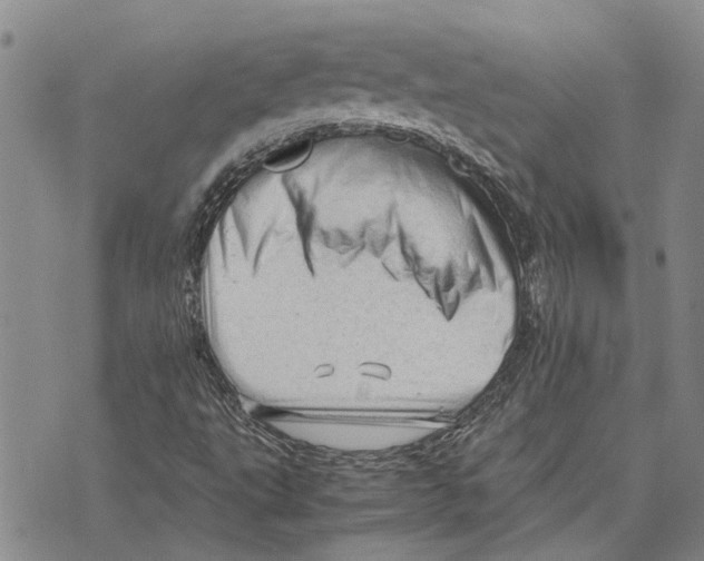X0000075821495200610151441