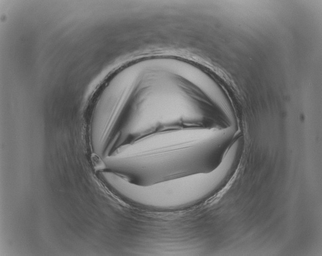 X0000075821502200610151442