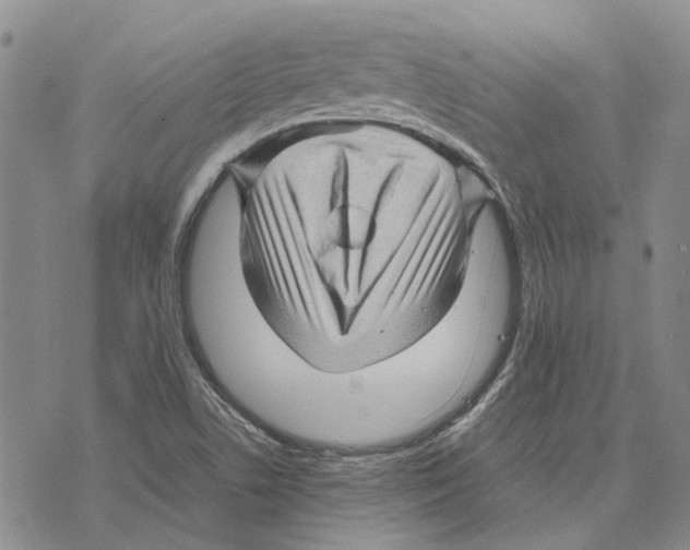 X0000075821506200610151442