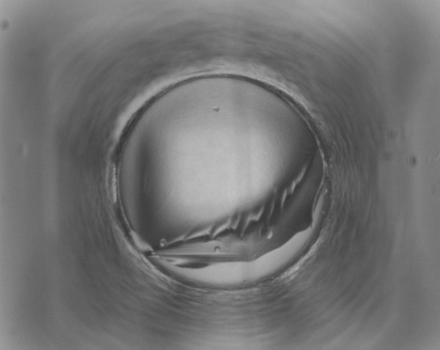 X0000075821510200610151442