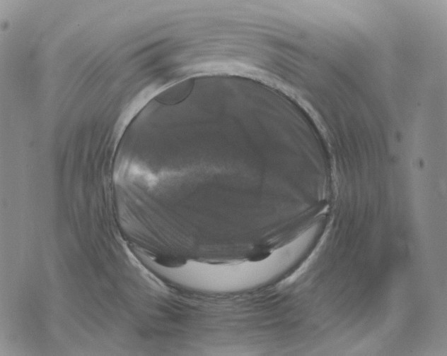 X0000075821529200610151442