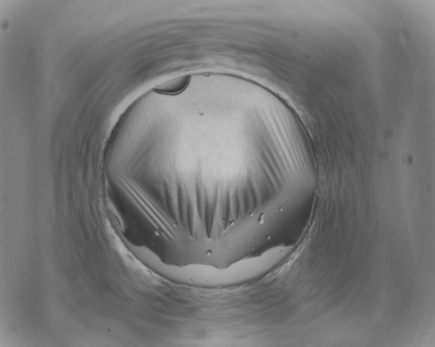 X0000075821534200610151442