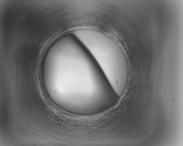 X0000075830001200609150858