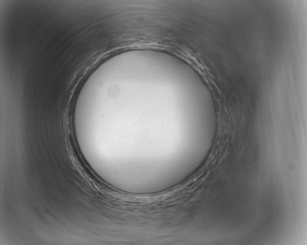 X0000075830002200609150858