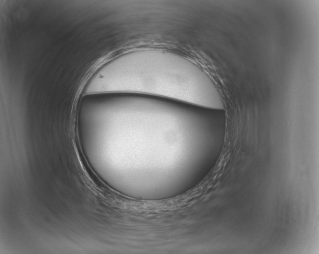 X0000075830003200609150858