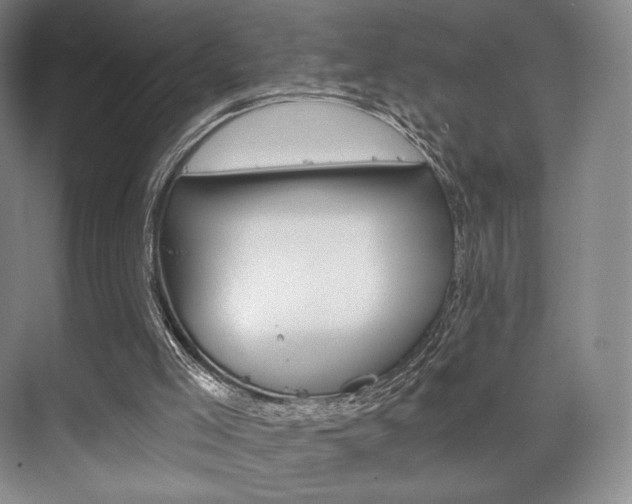 X0000075830005200609150858