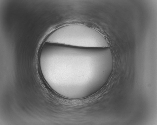 X0000075830006200609150858