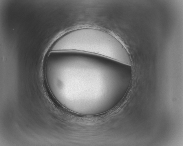 X0000075830008200609150858