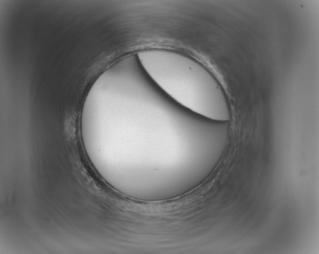 X0000075830010200609150858