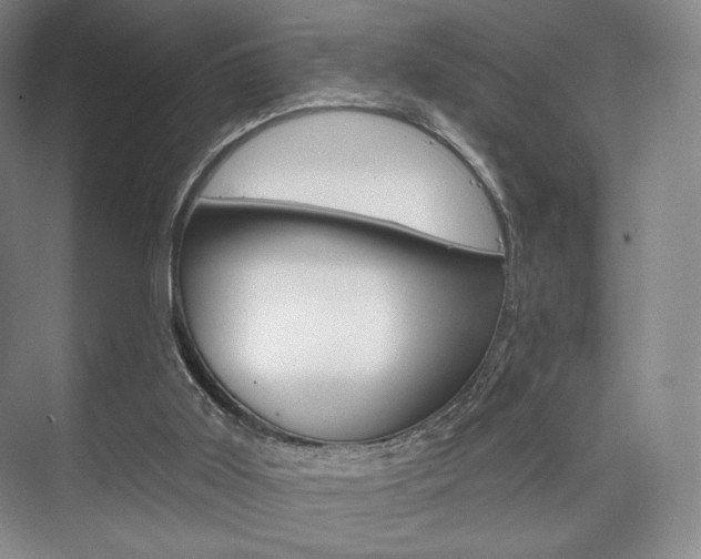 X0000075830011200609150858