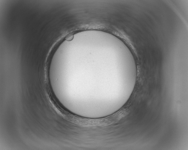 X0000075830012200609150858