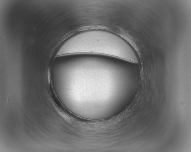 X0000075830013200609150858