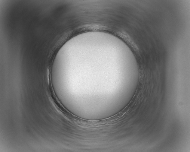 X0000075830014200609150858