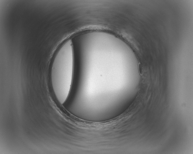 X0000075830015200609150858