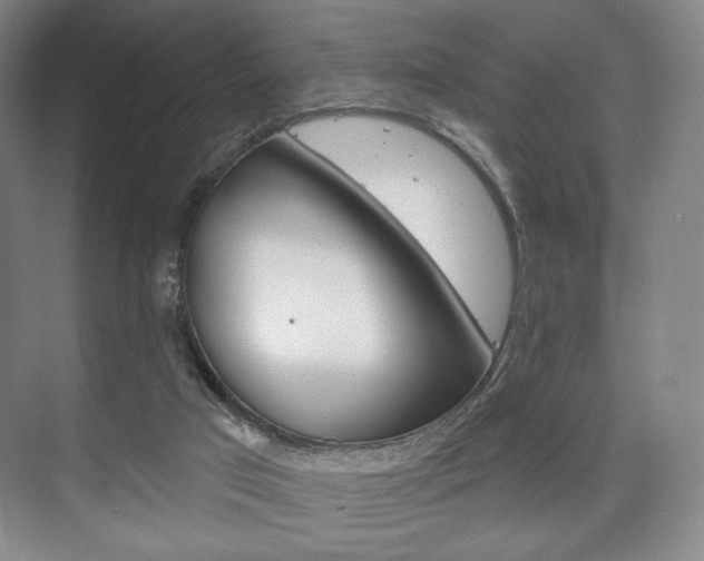 X0000075830017200609150858