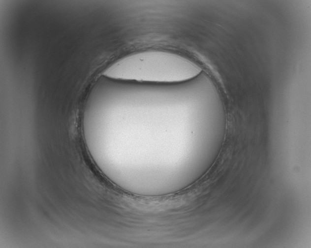 X0000075830018200609150857