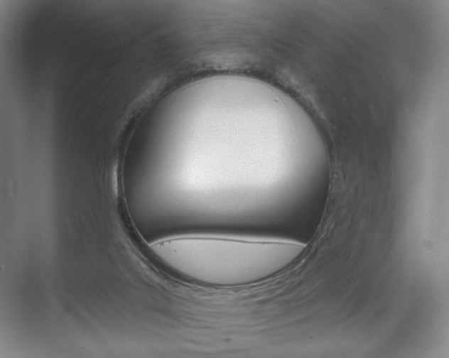 X0000075830019200609150857