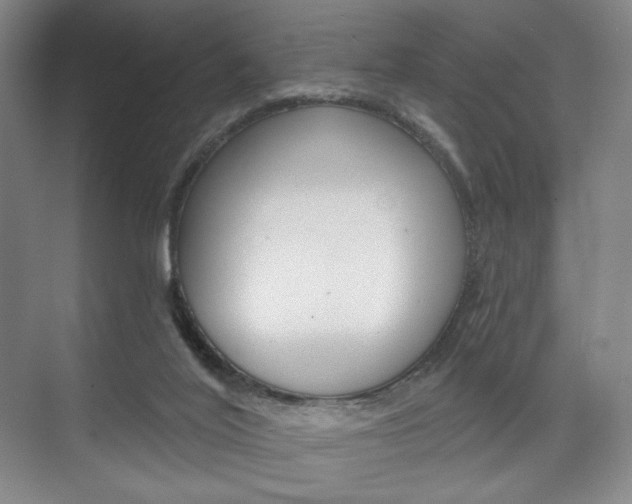 X0000075830020200609150857