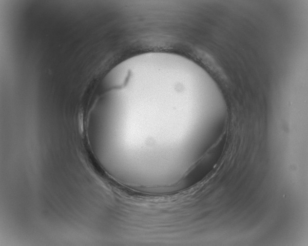 X0000075830021200609150857