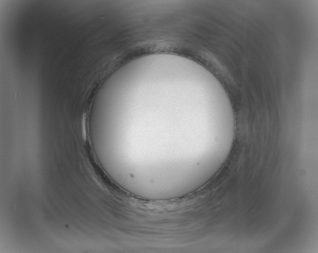 X0000075830022200609150857