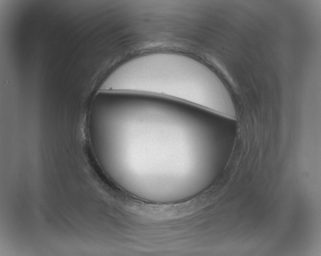 X0000075830023200609150857