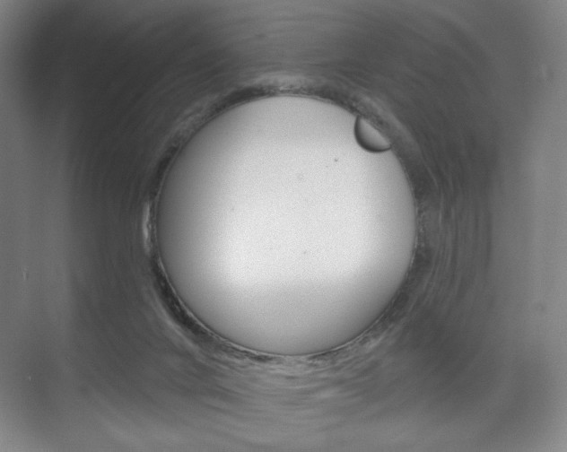 X0000075830024200609150857