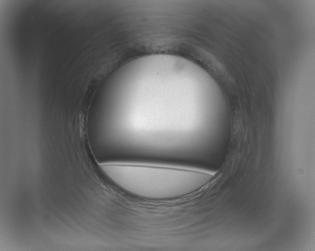 X0000075830025200609150857