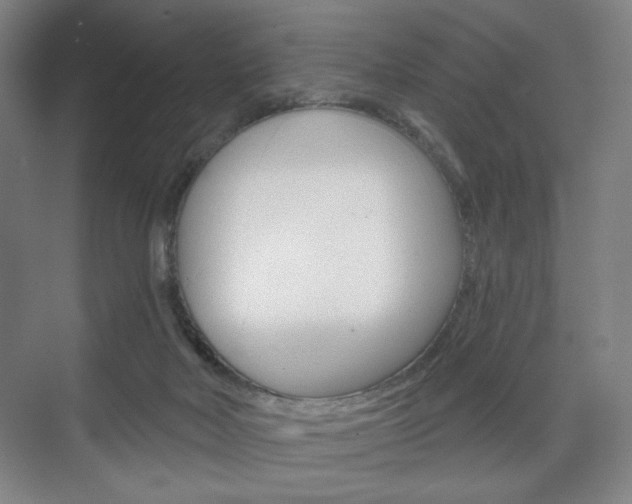 X0000075830026200609150857