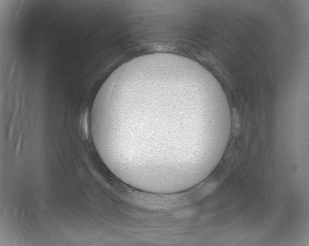 X0000075830028200609150857