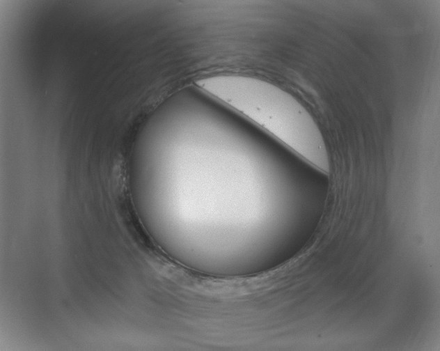 X0000075830029200609150857