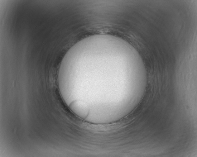 X0000075830030200609150857