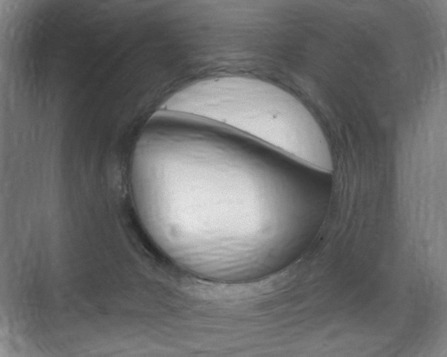 X0000075830031200609150857