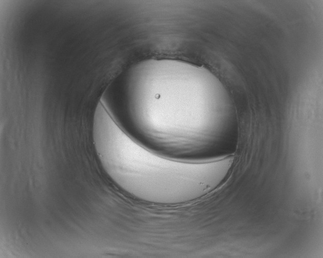 X0000075830033200609150857