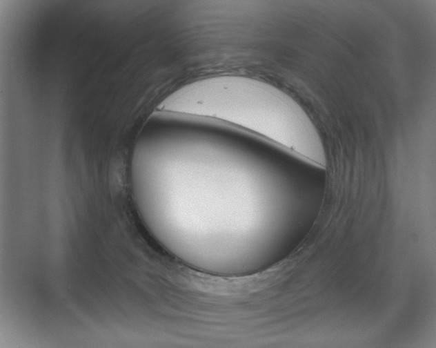 X0000075830035200609150857