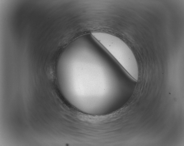 X0000075830039200609150857