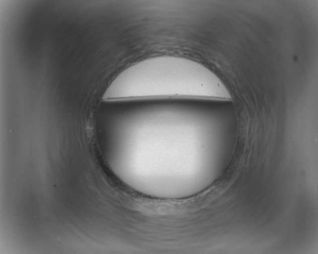 X0000075830040200609150857