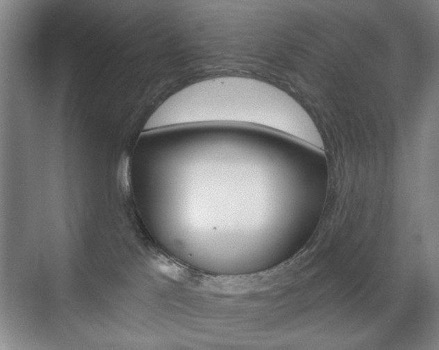 X0000075830041200609150857