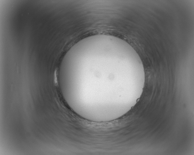 X0000075830042200609150857