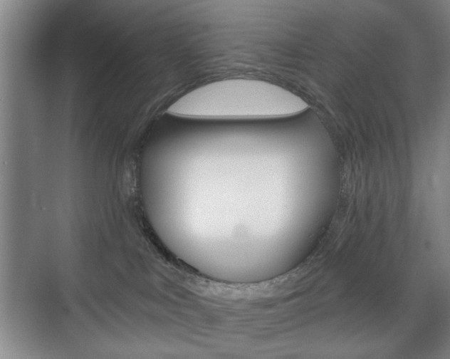 X0000075830043200609150857