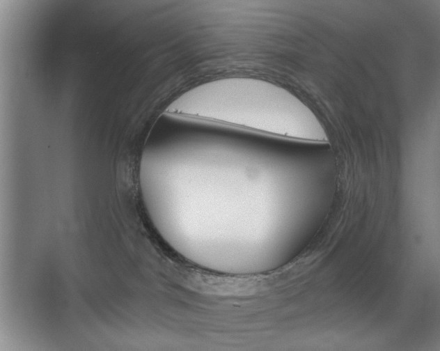 X0000075830044200609150857