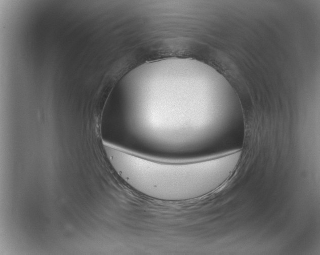 X0000075830045200609150857